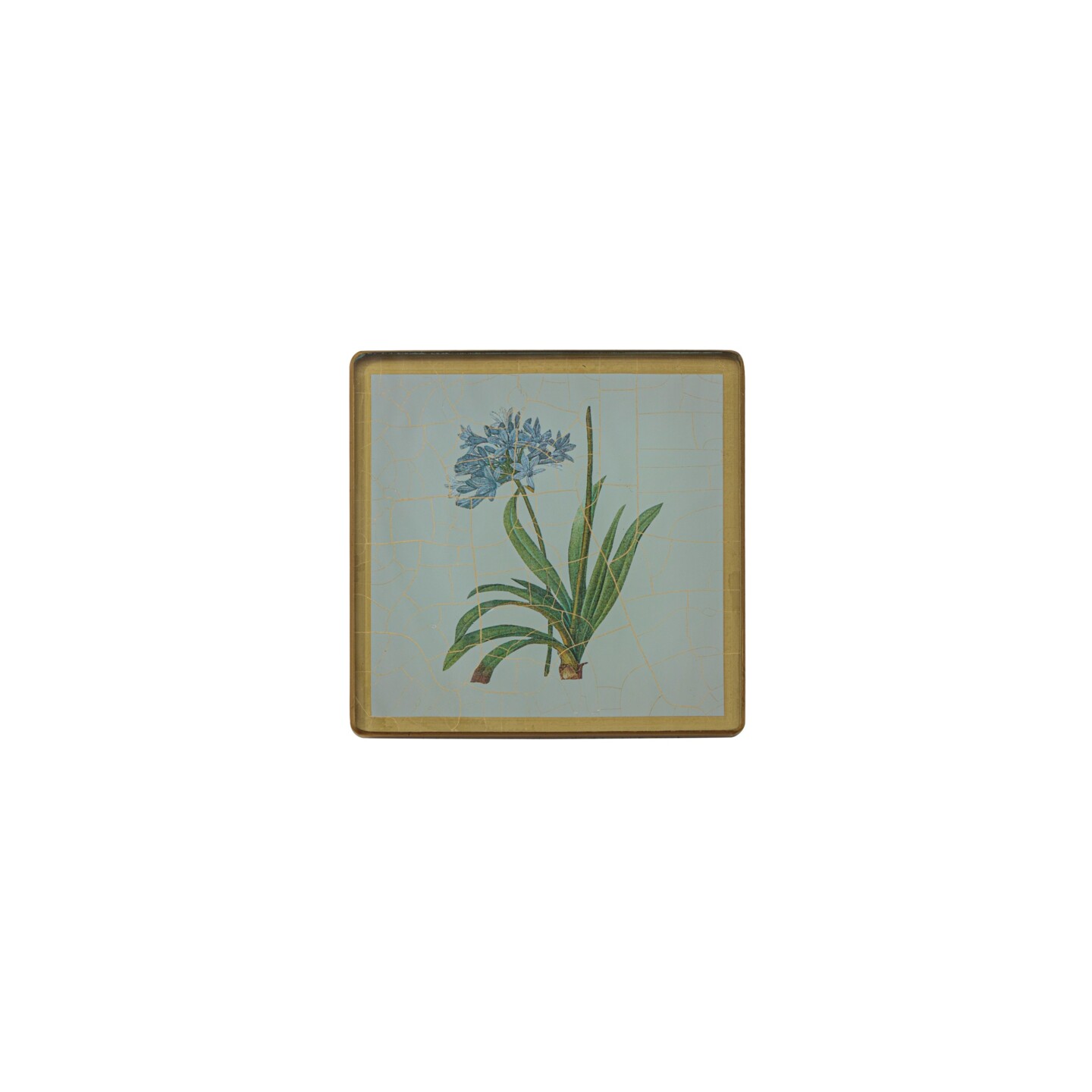 Square Coasters, Summer Flowers on Celedon    £23